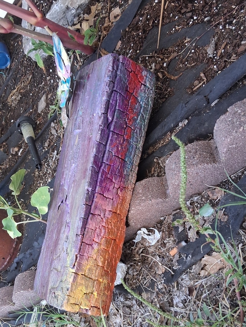 Reptile Habitat Decorative Driftwood Log - Multi-Color